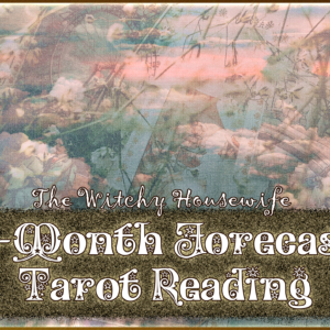 6-Month Forecast Tarot Reading