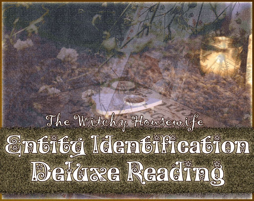 Entity Identification Deluxe Reading