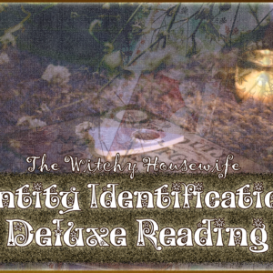 Entity Identification Deluxe Reading