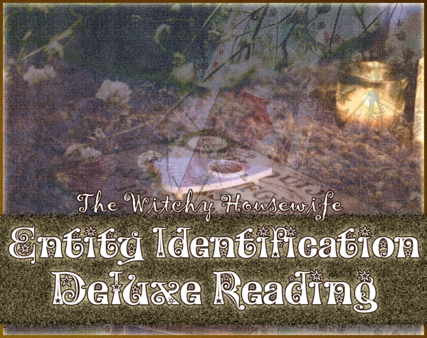 Entity Identification Deluxe Reading