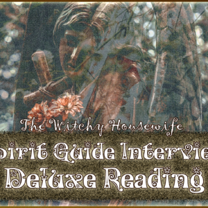 Spirit Guide Interview Deluxe Reading