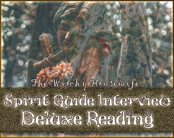 Spirit Guide Interview Deluxe Reading