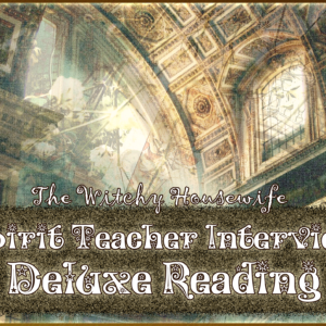 Spirit Teacher Interview Deluxe Reading