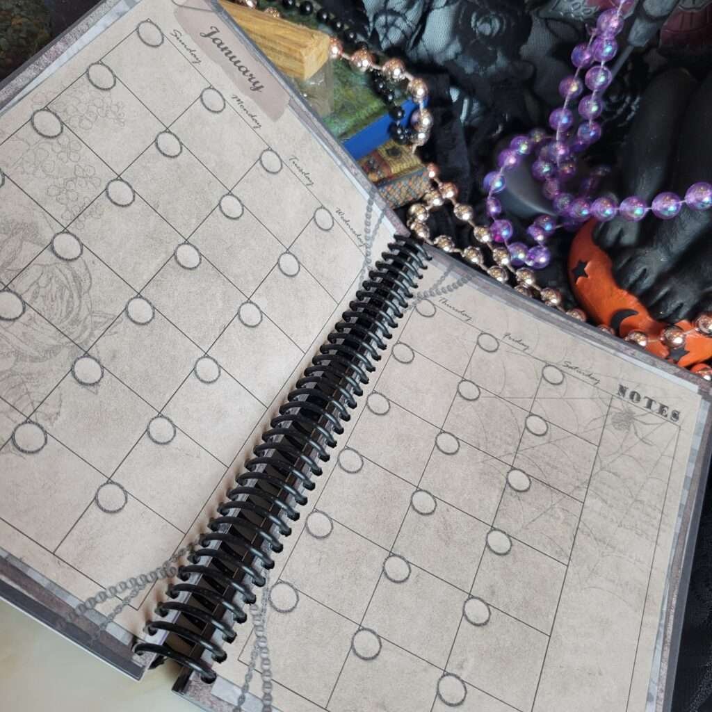 Dezy Delaceur's Magickal Daybook