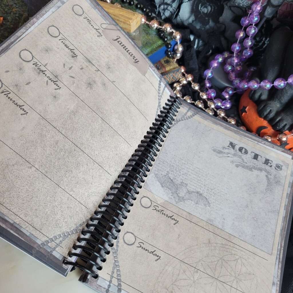 Dezy Delaceur's Magickal Daybook