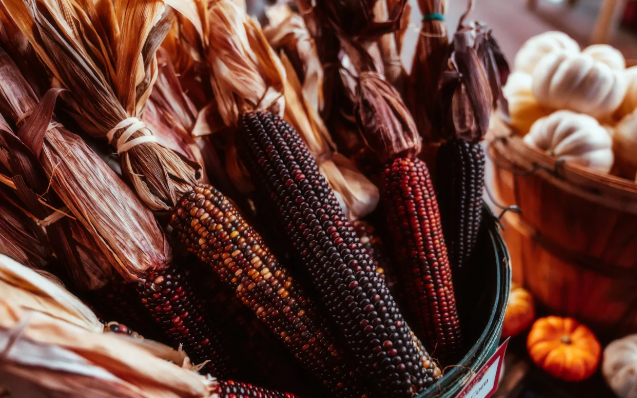 A Khthonic Wiccan Guide to Mabon