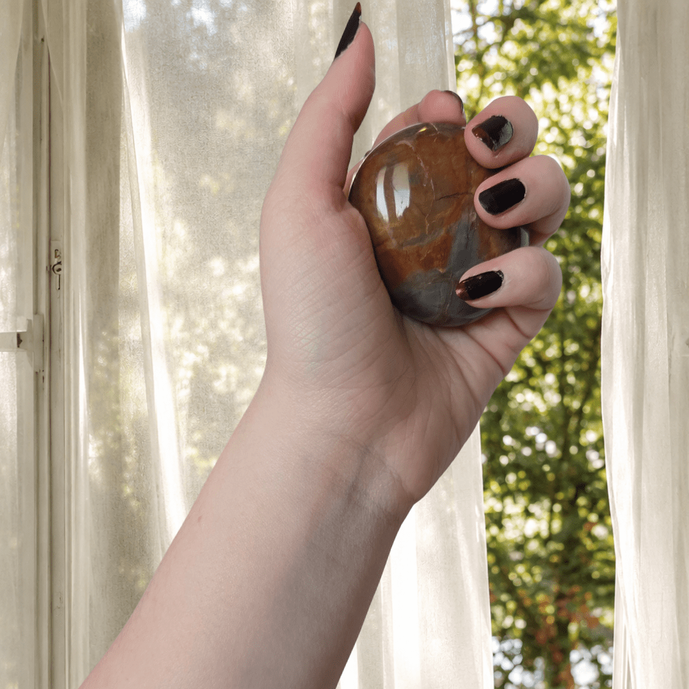 Petrified Wood Palm Stone