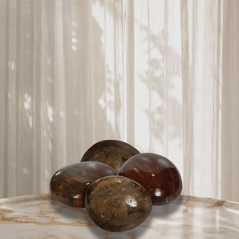 Petrified Wood Palm Stone